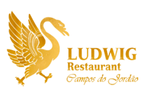 Ludwig-1-1.png